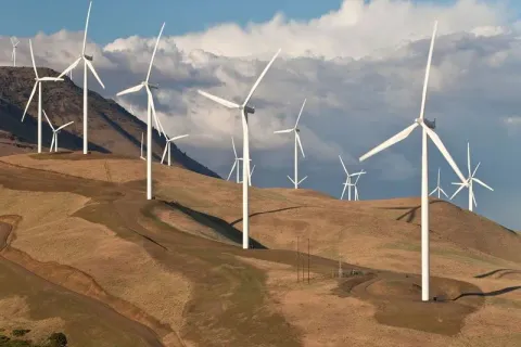 Rows of wind turbines on a dry, grass-covered hillside.